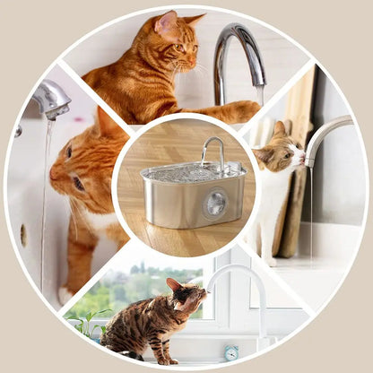 3.2l Stainless Steel Automatic Pet Water Drinking Fountain With Silent Filter - ozonlineshopper